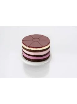 Bester Verkauf ✨ Backformen & -zubehör Dr. Oetker Little Layer Cakes Tortenteiler 6/8 St. Küchenhelfer Classic Günstig Kaufen 😍 -Dr.oetker Verkaufsladen dr oetker little layer cakes tortenteiler 6 8 st kuchenhelfer classic 4