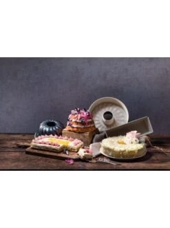 Rabatt 👏 Backformen & -zubehör Dr. Oetker Springform Mit Flach- Und Rohrboden BACK-TREND, Ø 28 Cm Günstig Kaufen 😀 -Dr.oetker Verkaufsladen dr oetker springform mit flach und rohrboden back trend o 28 cm 4