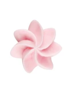 Rabatt 🔔 Backformen & -zubehör Dr. Oetker Sterntülle, Geschlossen Tüllen Manufaktur, Ø 8 Mm Günstig Kaufen ⌛ -Dr.oetker Verkaufsladen dr oetker sterntulle geschlossen tullen manufaktur o 8 mm 2