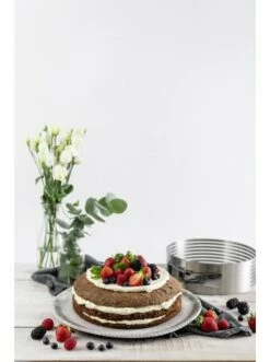 Am billigsten ✔️ Backformen & -zubehör Dr. Oetker Tortenboden-Schneidhilfe, Verstellbar Kitchen Tools Stainless Steel, Ø 26-28 Cm Günstig Kaufen 🧨 14 Am billigsten ✔️ Backformen & -zubehör Dr. Oetker Tortenboden-Schneidhilfe, Verstellbar Kitchen Tools Stainless Steel, Ø 26-28 Cm Günstig Kaufen 🧨 -Dr.oetker Verkaufsladen dr oetker tortenboden schneidhilfe verstellbar kitchen tools stainless steel o 26 28 cm 6